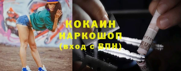 индика Алзамай
