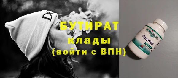 индика Алзамай
