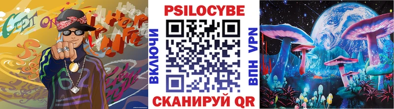 Псилоцибиновые грибы Psilocybine cubensis  Кочубеевское 